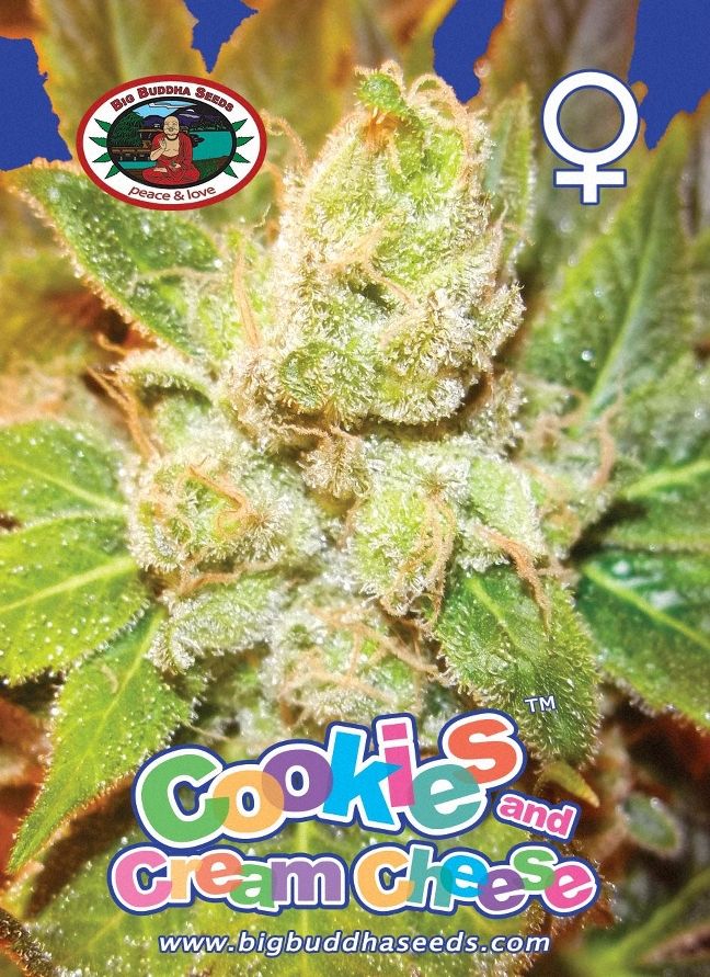 Big Buddha Cookies &#38; Cream Cheese ™