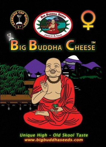 Big Buddha Cheese ™